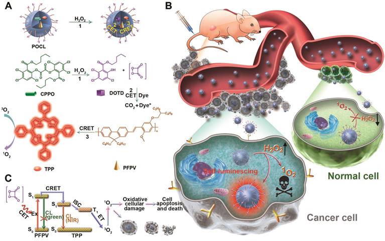 Theranostics Image