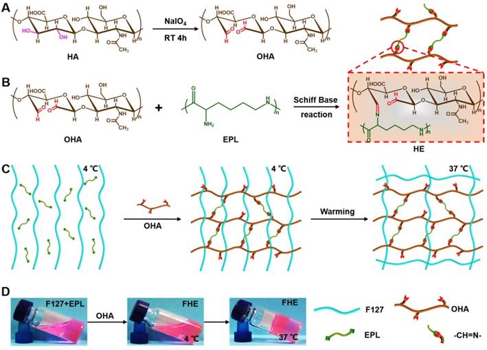 Theranostics Image