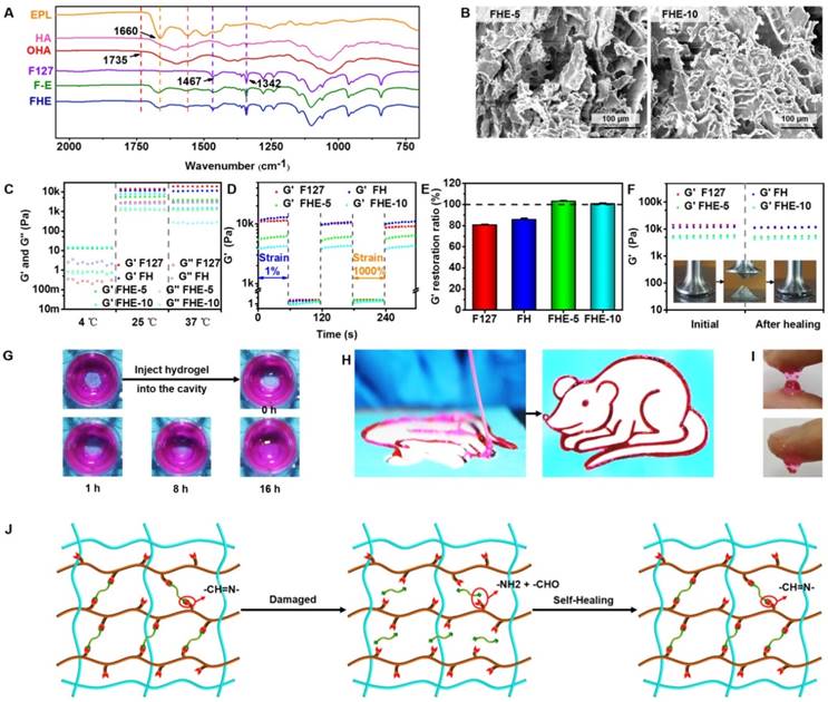 Theranostics Image