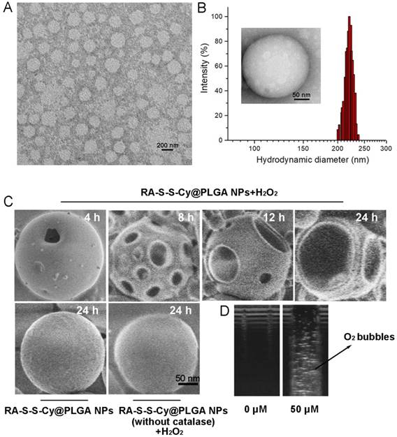 Theranostics Image