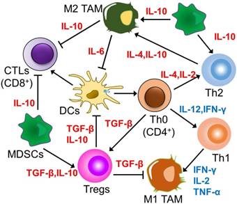 Theranostics Image