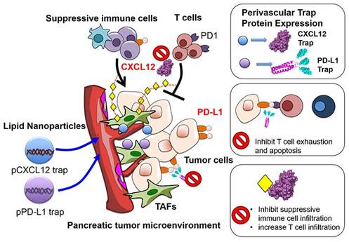 Theranostics Image