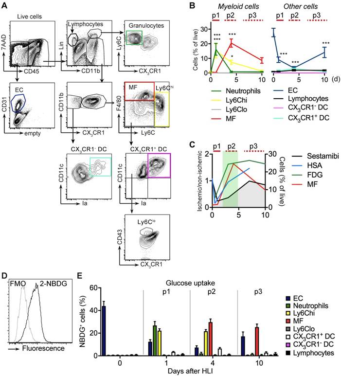 Theranostics Image