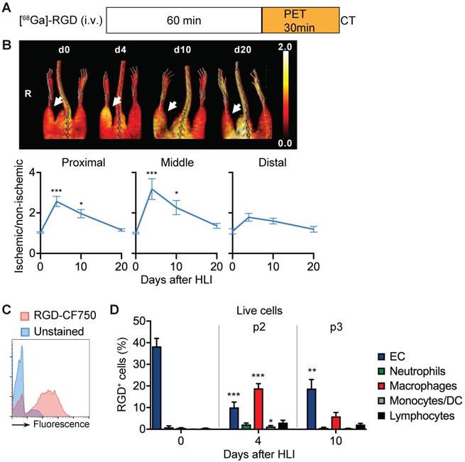 Theranostics Image