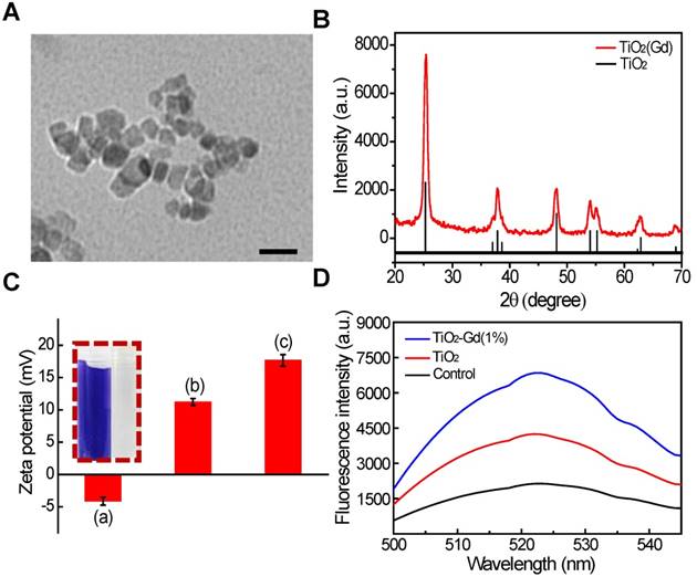 Theranostics Image