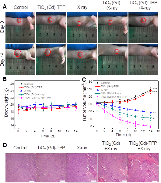 Theranostics Image