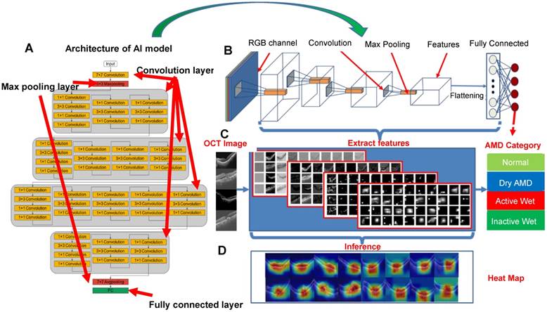 Theranostics Image