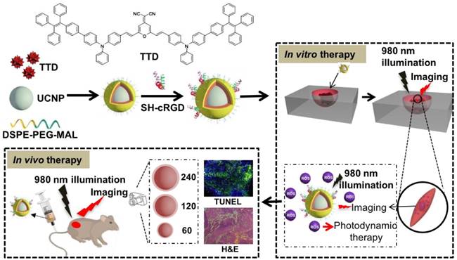 Theranostics Image