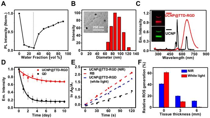 Theranostics Image