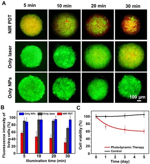 Theranostics Image