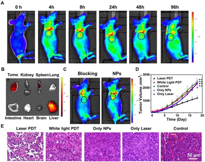 Theranostics Image