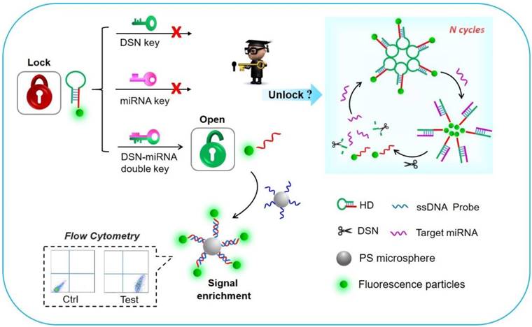 Theranostics Image