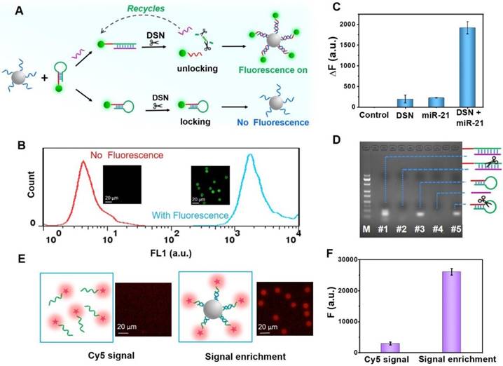 Theranostics Image