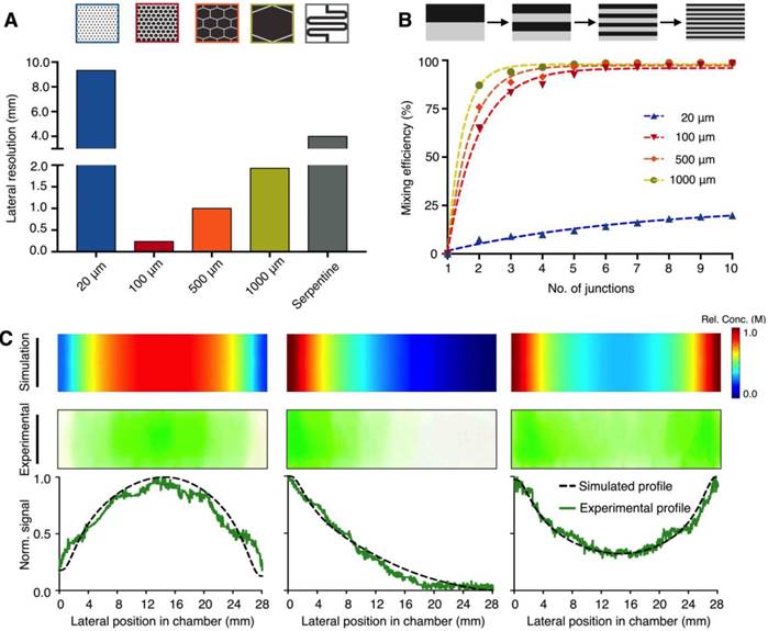 Theranostics Image