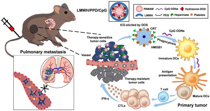 Theranostics Image