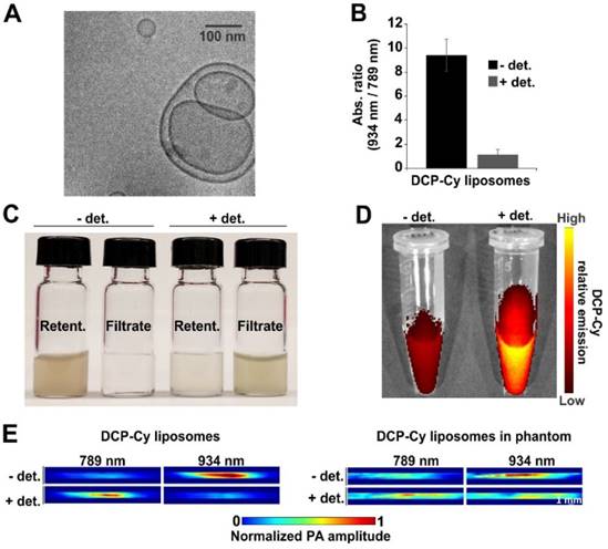 Theranostics Image