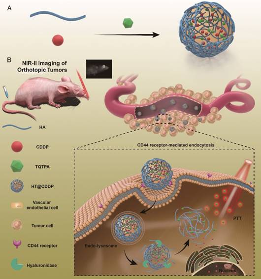 Theranostics Image