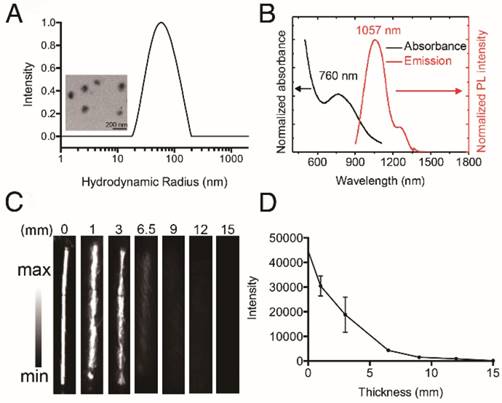 Theranostics Image