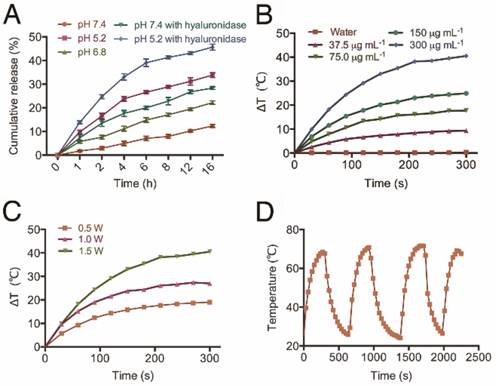 Theranostics Image