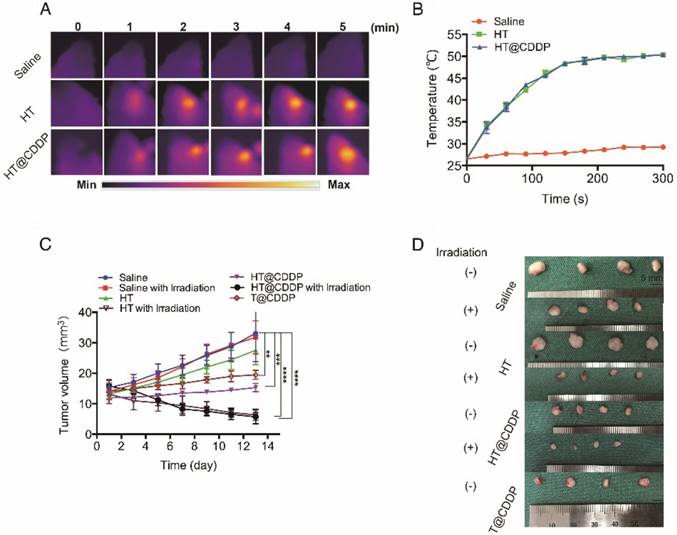 Theranostics Image