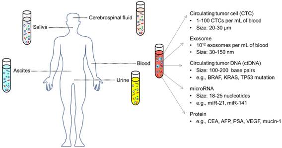 Theranostics Image