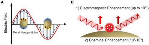 Theranostics Image