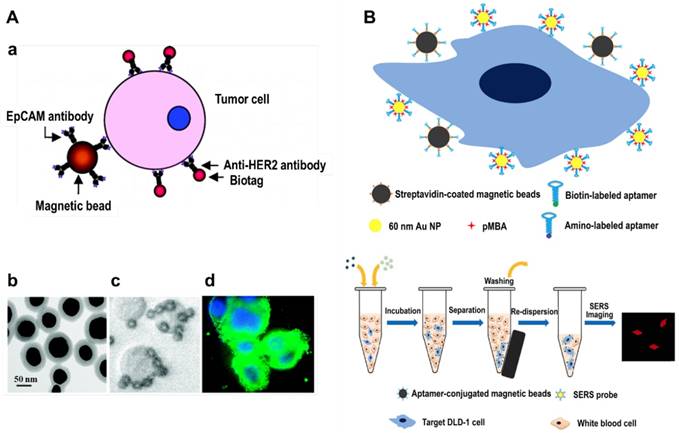 Theranostics Image