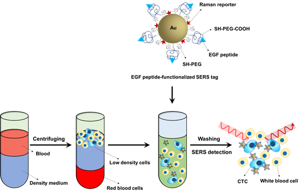 Theranostics Image