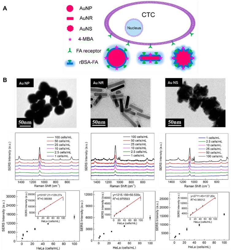 Theranostics Image