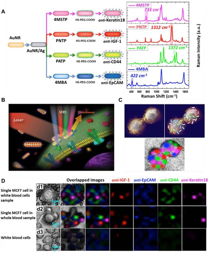 Theranostics Image