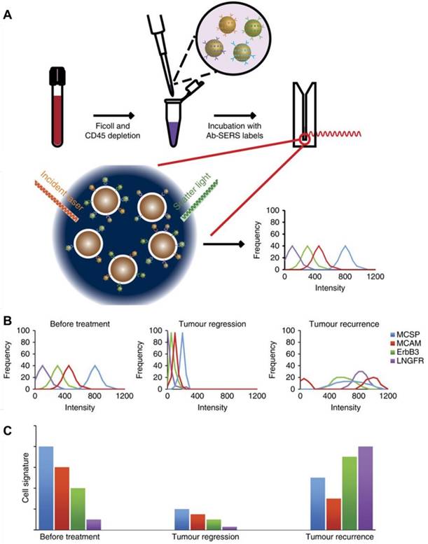 Theranostics Image