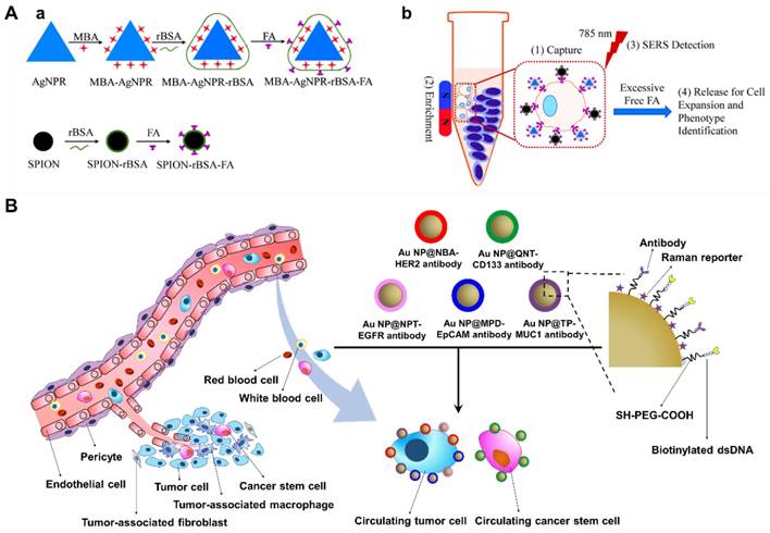 Theranostics Image