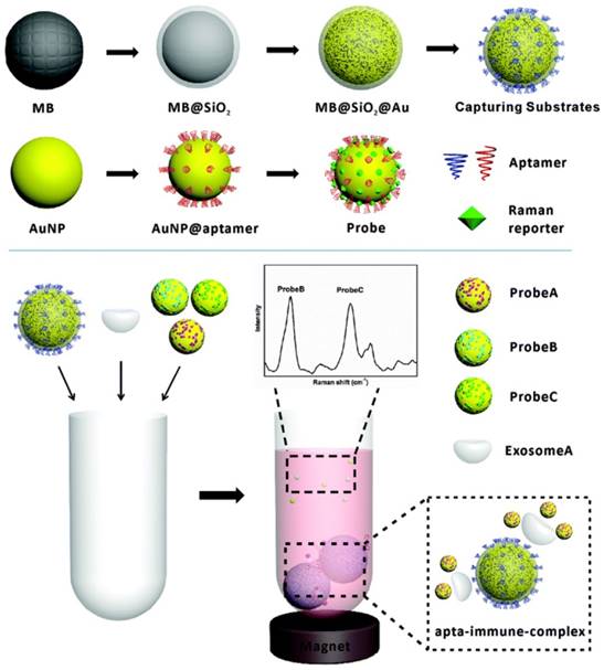 Theranostics Image