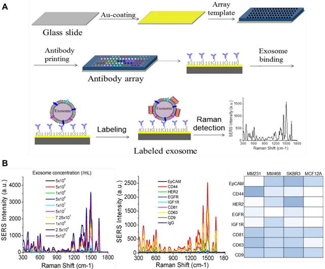 Theranostics Image