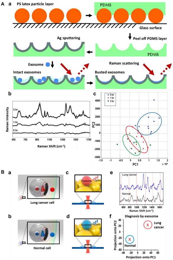 Theranostics Image