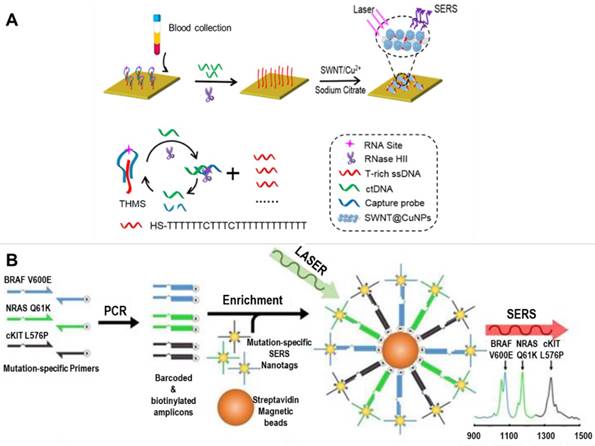 Theranostics Image