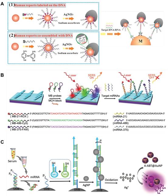 Theranostics Image