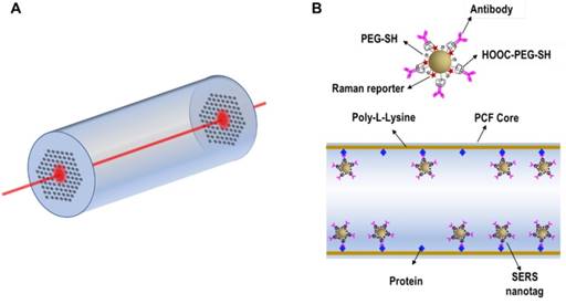 Theranostics Image