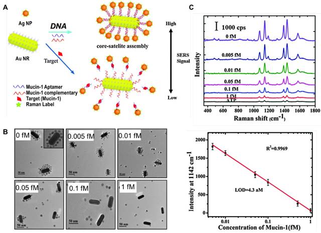 Theranostics Image