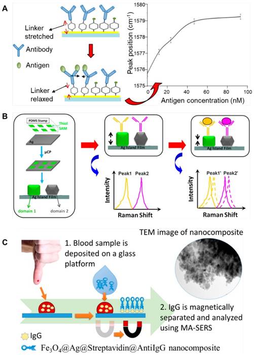 Theranostics Image