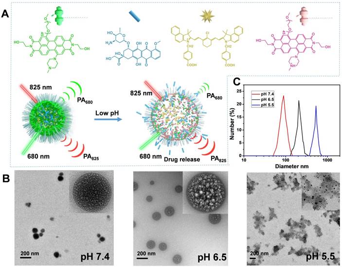 Theranostics Image