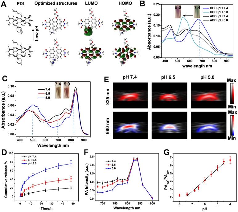 Theranostics Image