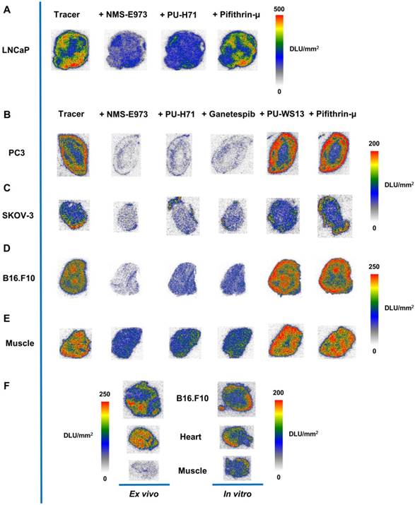 Theranostics Image