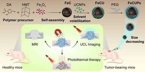 Theranostics Image