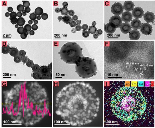 Theranostics Image