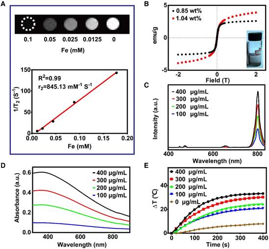 Theranostics Image