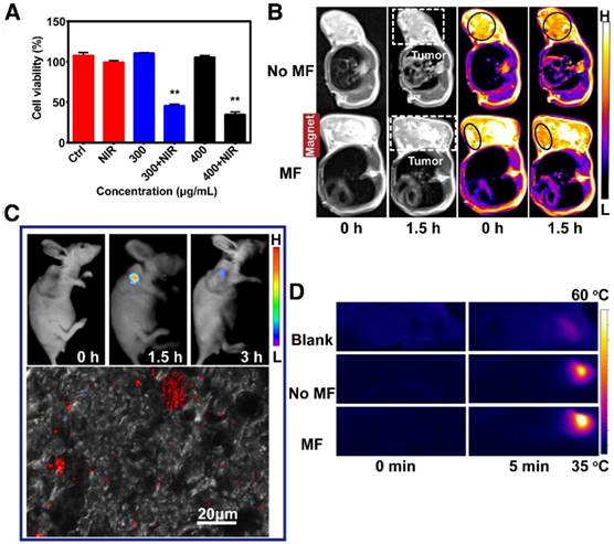 Theranostics Image