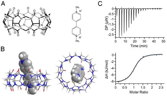 Theranostics Image