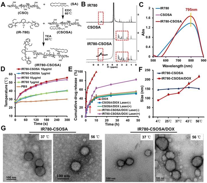 Theranostics Image