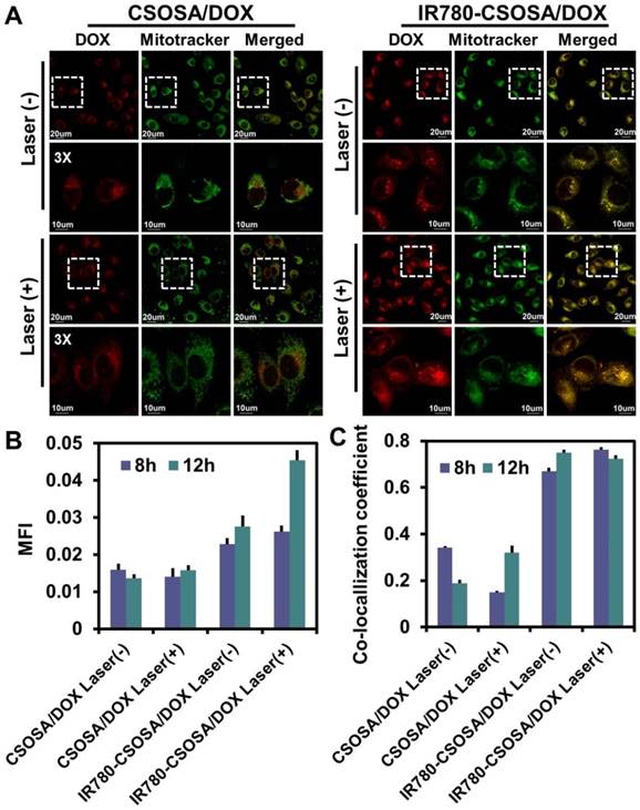 Theranostics Image